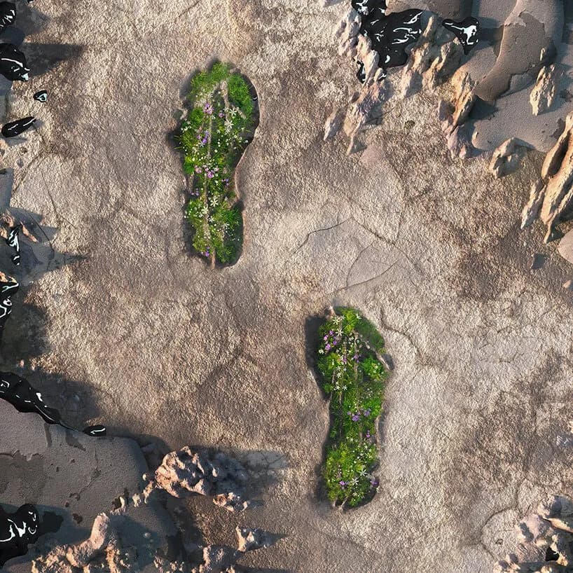 Sustainable Running Shoes by Adidas & Allbirds