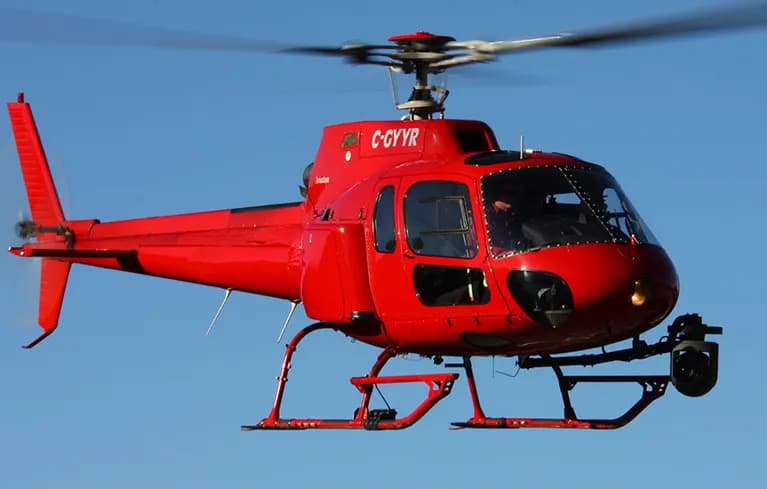 How the BBC makes wildlife films that look like Hollywood movies